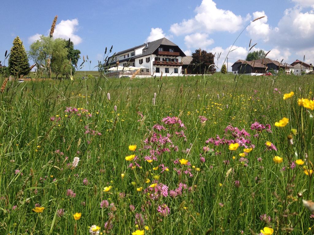 Forellenwirt Grünbach Exterior foto
